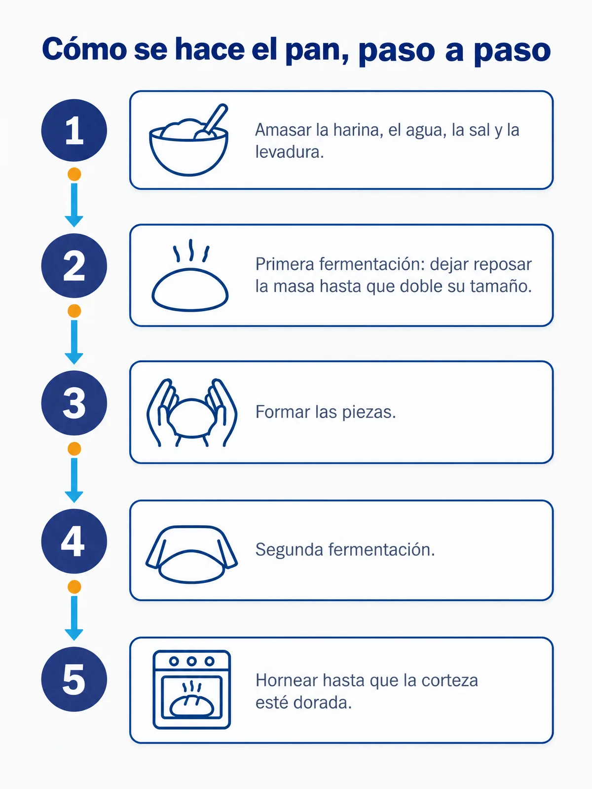 Infografía de proceso sobre cómo se hace el pan en 5 pasos: amasar, primera fermentación, formar, segunda fermentación y hornear